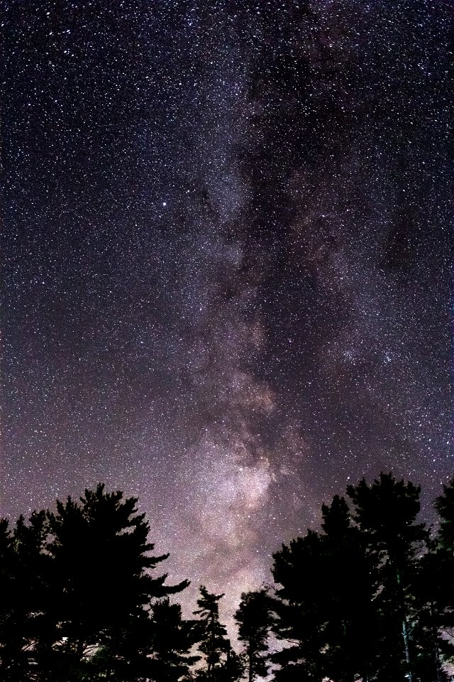 Incredible Milky Way With Trees photo