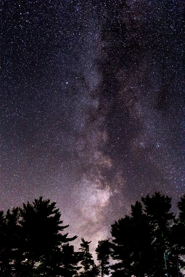 Incredible Milky Way With Trees