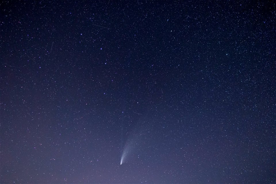 Comet Neowise Night Sky