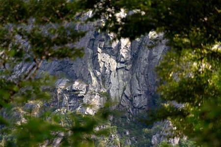Rocky Cliffs Through the Trees photo