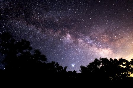 Milky Way Arching Over Trees