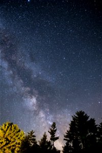 Vibrant Milky Way and Trees photo