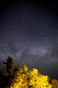 Milky Way With Bright Trees