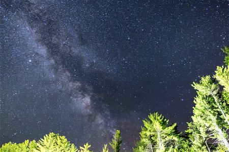 Milky Way Over Bright Trees