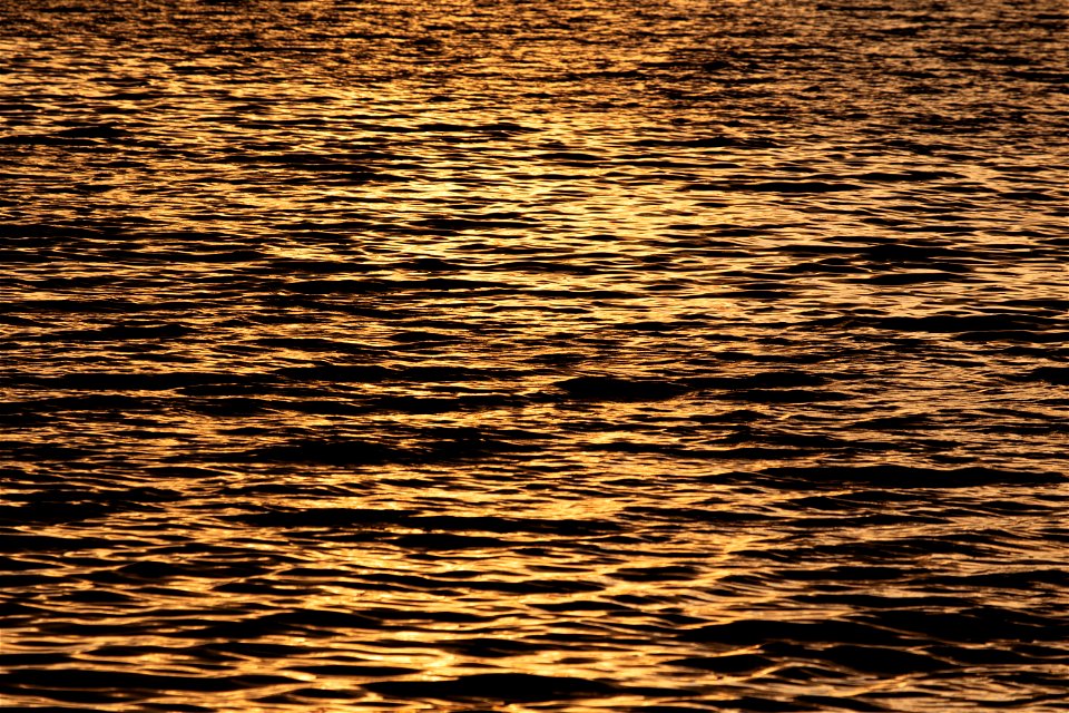 Golden Reflections photo