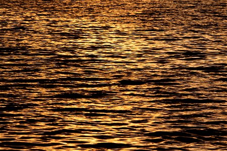 Golden Reflections photo