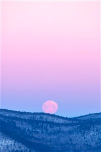 Pink Moon Rising photo