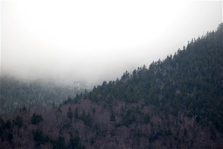 Foggy Landscape photo