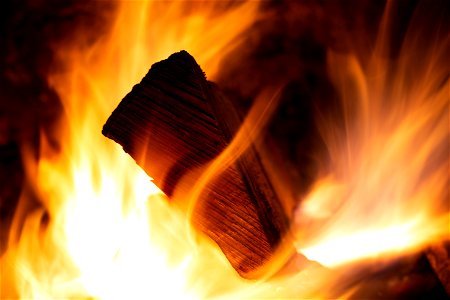Log Consumed by Fire photo
