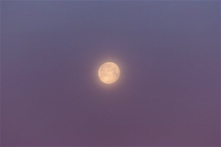 Glowing Moon photo