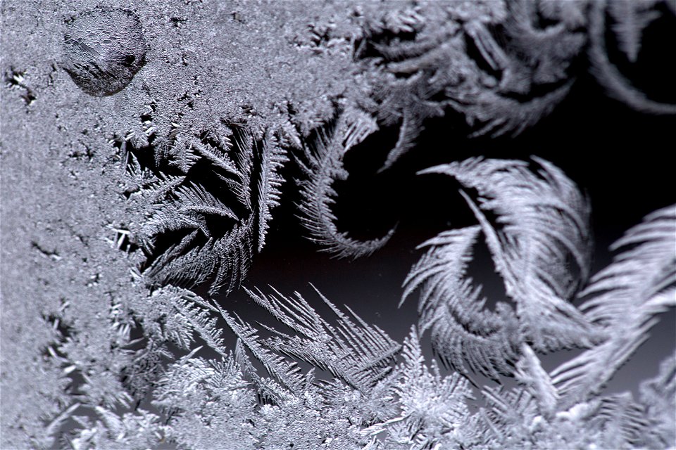 Swirls of Frost photo