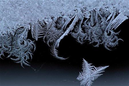 White Frost on a Dark Background photo