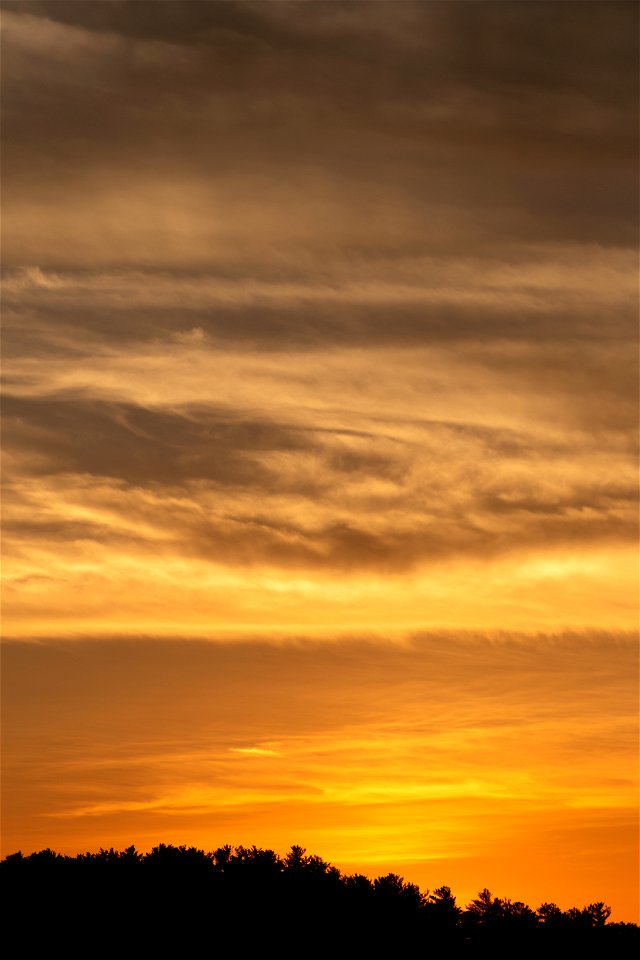 Bright Golden Sunset photo