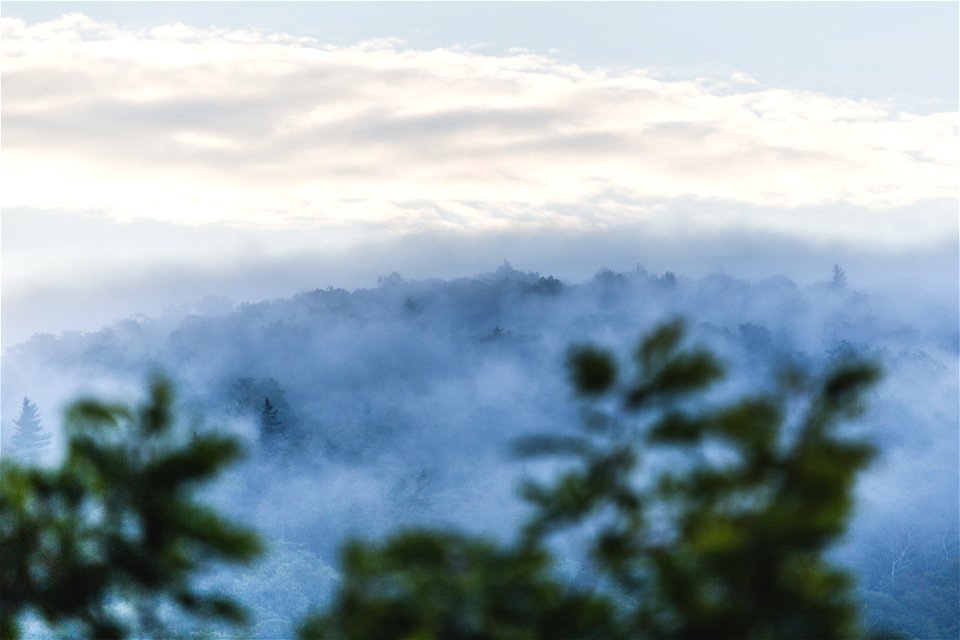 Jungle Feel Landscape photo