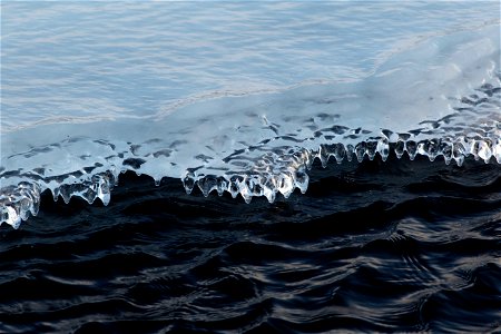 Ice on Water’s Edge photo