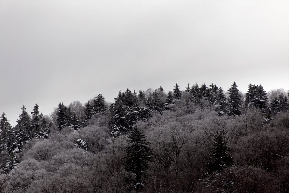 Moody Winter photo