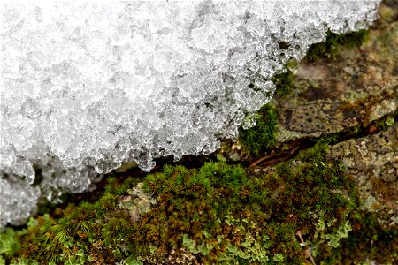 Snow on Mossy Rock photo