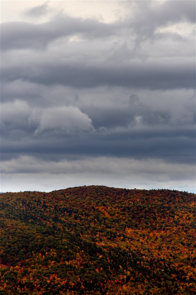 Clouds Over a Foliage Covered Mountain photo
