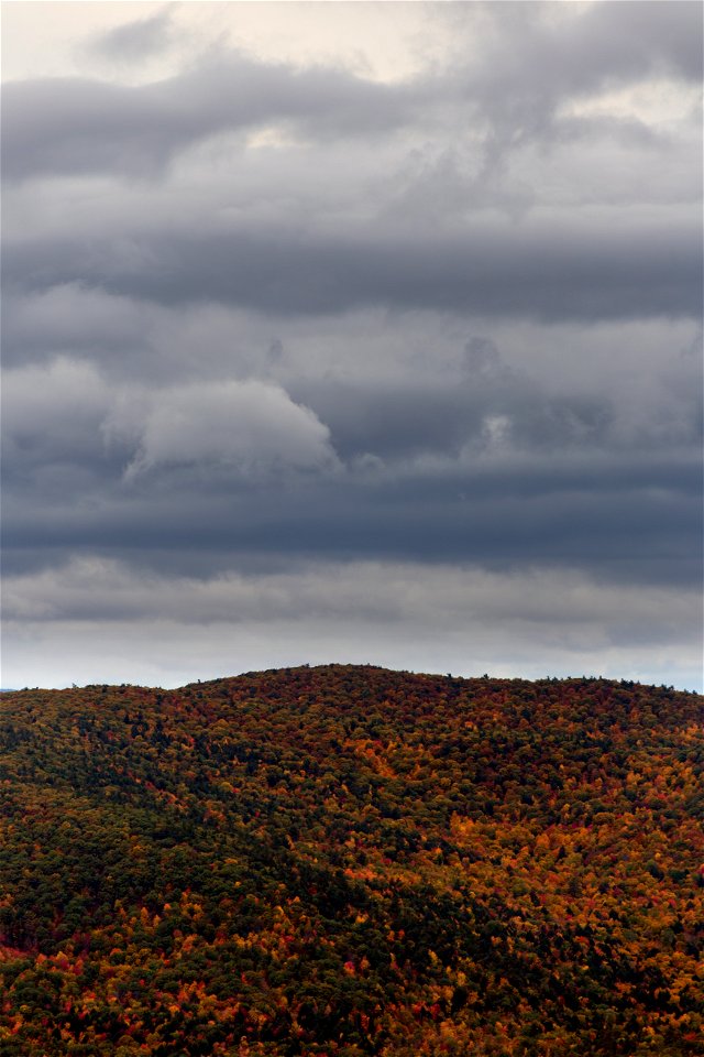 Clouds Over a Foliage Covered Mountain