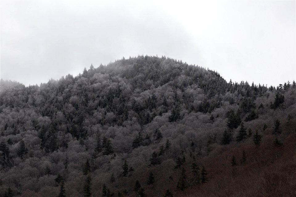 Grey Mountaintop photo