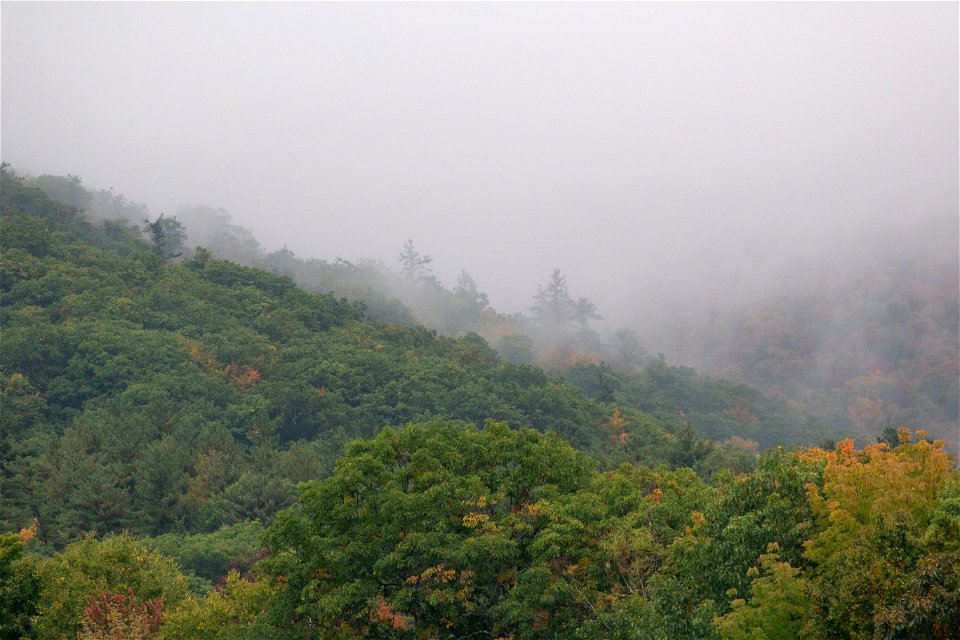 Misty Mountainside photo