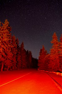 Red Road at Night photo