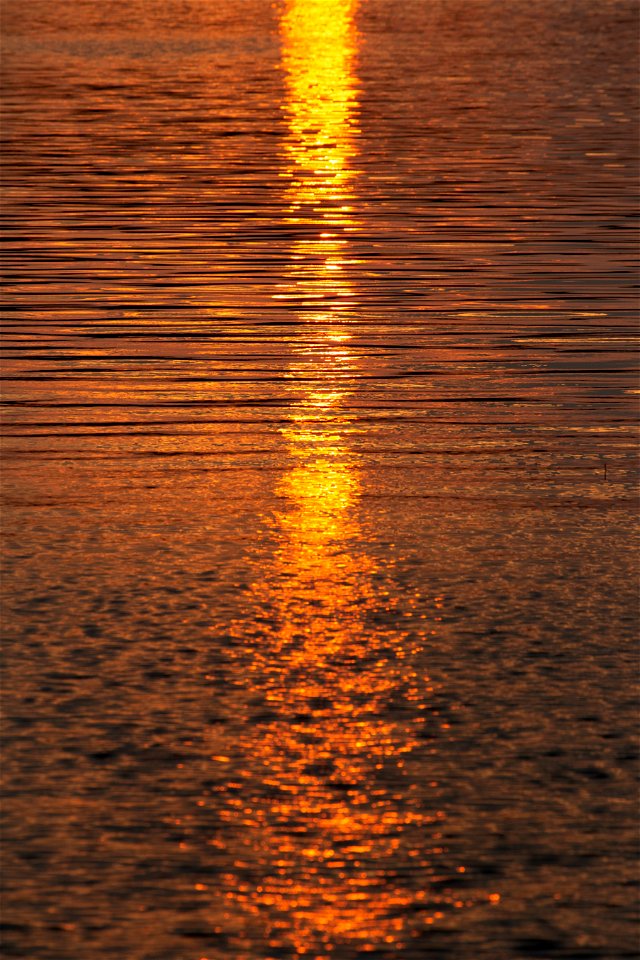Sunset Reflection photo