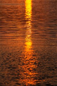 Sunset Reflection photo