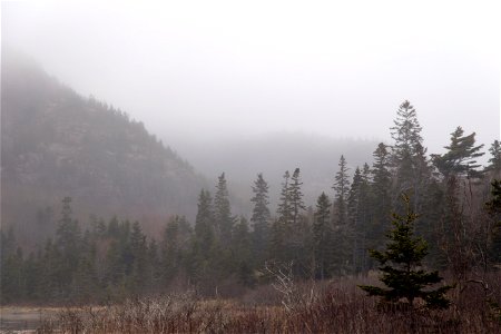 Foggy Mountain Valley photo