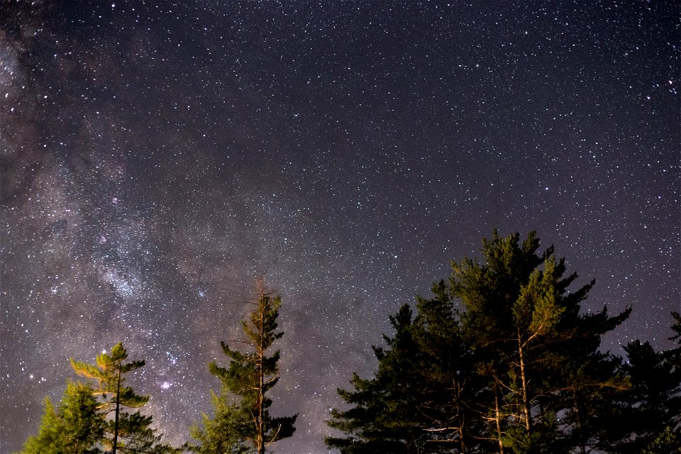 Backyard Views of Outer-Space photo