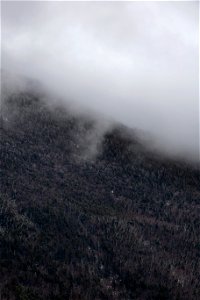 Fog Descending on Hillside photo