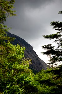 View of Rockslides Through the Trees photo