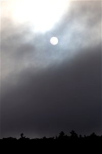 Sun Silhouette Through Thick Fog photo