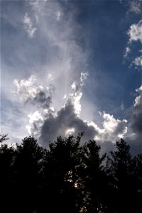 Bright Clouds Rising Up Over Silhouetted Trees photo