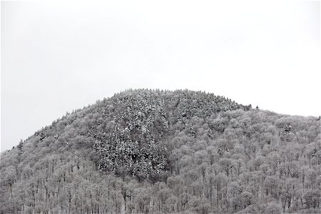 Frosted Mountaintop