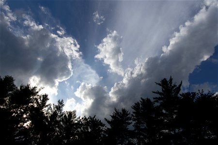 Silhouetted Trees Against Large Puffy Clouds photo