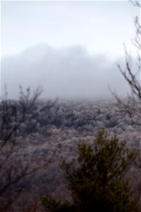 Cold, Desolate Landscape photo