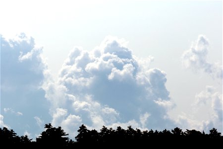 Large Puffy Cloud on the Horizon photo