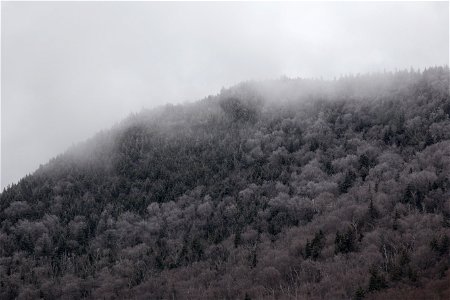 Frosted Hill in Fog photo