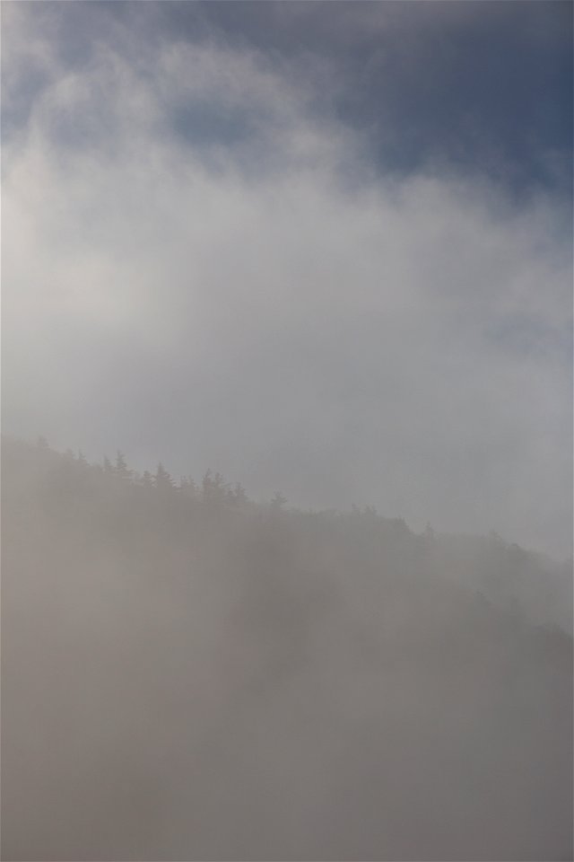 Mountainside Silhouette Through Thick Fog photo