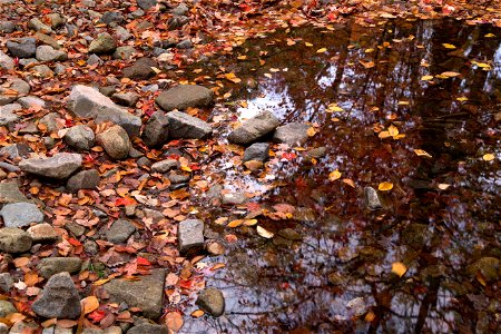 Calm River’s Edge in the Fall photo