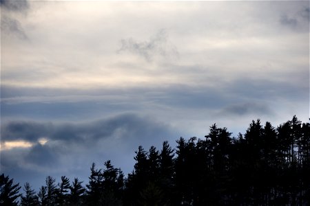 Painterly Clouds with Forest Silhouette