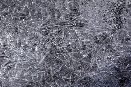 Ice Crystals photo