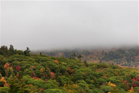 Foggy Early Fall Landscape photo