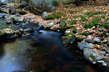 Peaceful Fall Stream photo