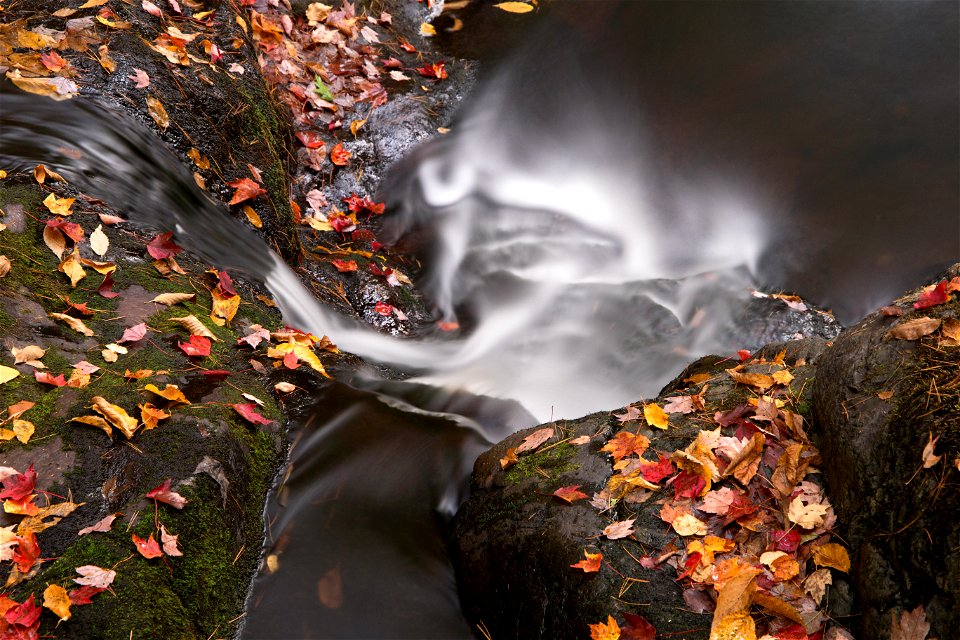 Misty Autumn Stream photo