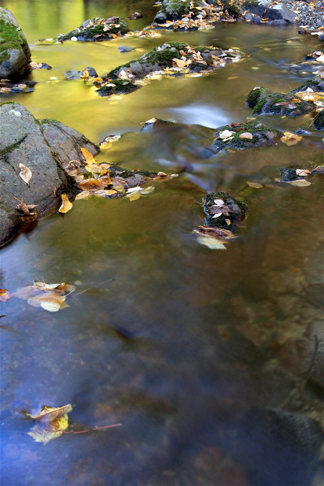 Looking Downstream photo