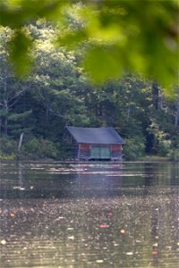 Old Cabin on Water’s Edge photo
