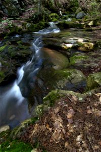 Small Stream Passing Over Mossy Rocks photo