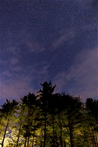 Backlit Forest Against Night Sky